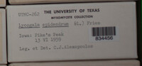 Image Associated With the Occurence